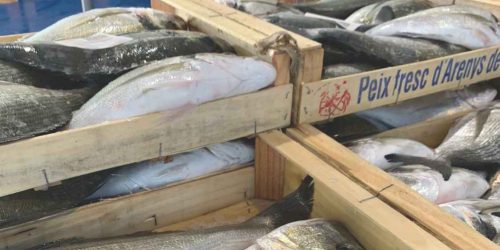 El peix de la llotja d'Arenys és un dels productes estrella del Restaurant Blau de Mar